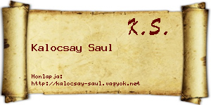Kalocsay Saul névjegykártya
